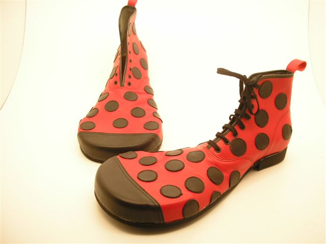 Clownschoen lieveheersbeestje
